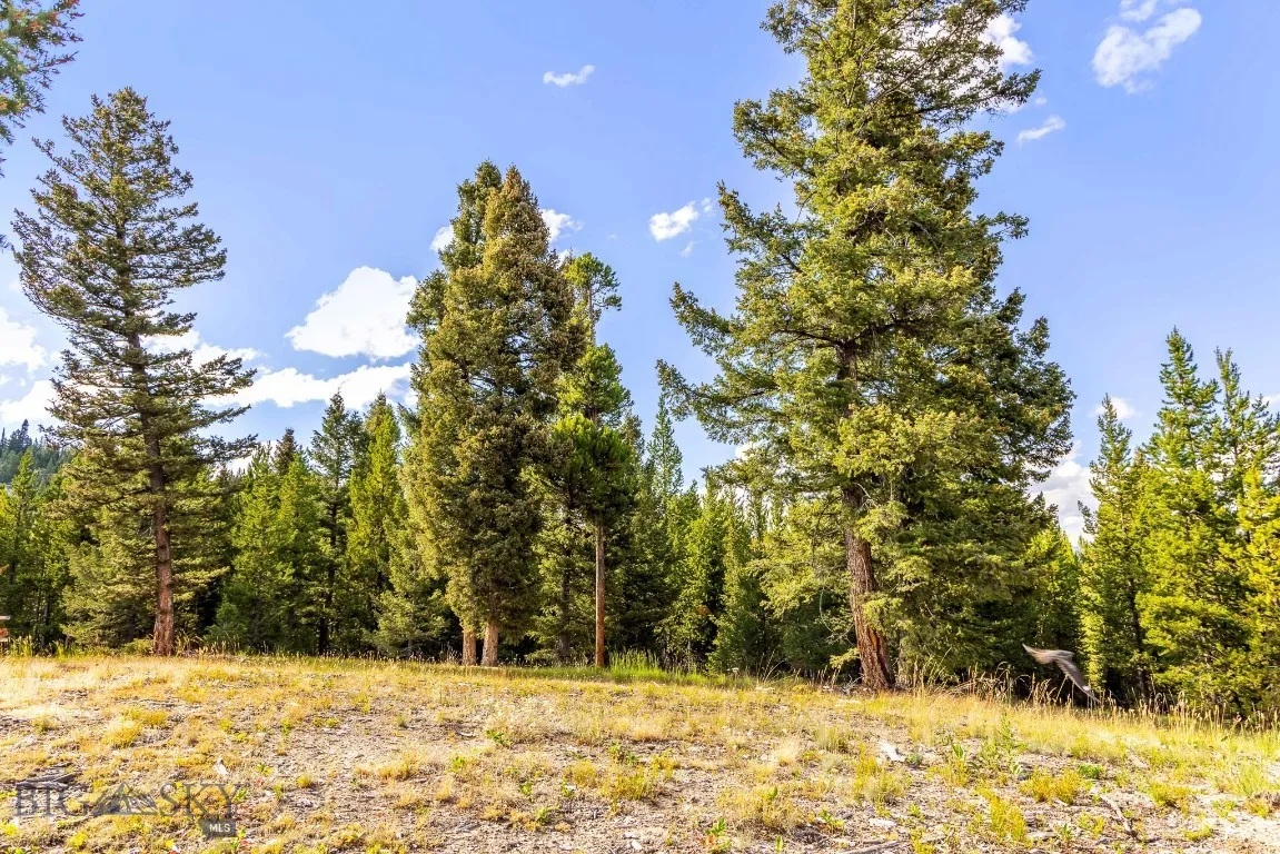 Lot 2 Wheatgrass Meadows, Big Sky, Montana 59716, Big Sky, Montana 59716, ,Land,For Sale,Lot 2 Wheatgrass Meadows, Big Sky, Montana 59716,0,403901