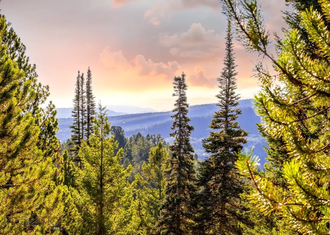 Lot 2 Wheatgrass Meadows, Big Sky, Montana 59716, Big Sky, Montana 59716, ,Land,For Sale,Lot 2 Wheatgrass Meadows, Big Sky, Montana 59716,0,403901