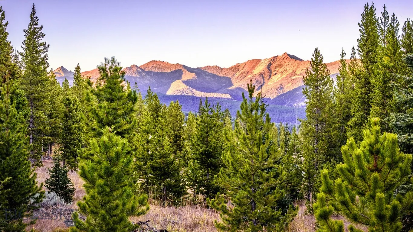 Lot 2 Wheatgrass Meadows, Big Sky, Montana 59716, Big Sky, Montana 59716, ,Land,For Sale,Lot 2 Wheatgrass Meadows, Big Sky, Montana 59716,0,403901