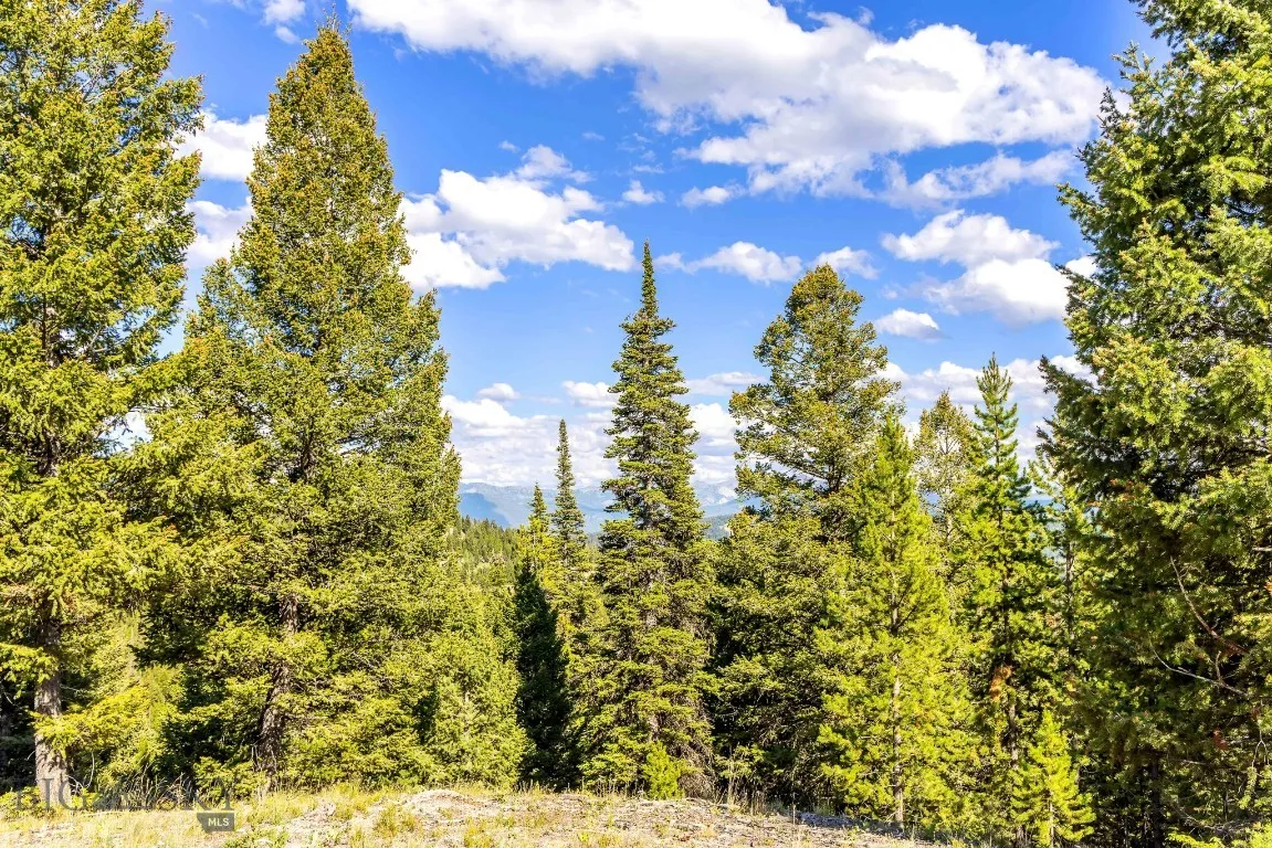 Lot 2 Wheatgrass Meadows, Big Sky, Montana 59716, Big Sky, Montana 59716, ,Land,For Sale,Lot 2 Wheatgrass Meadows, Big Sky, Montana 59716,0,403901