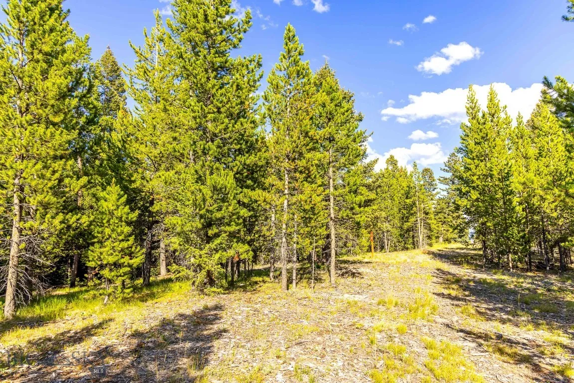 Lot 2 Wheatgrass Meadows, Big Sky, Montana 59716, Big Sky, Montana 59716, ,Land,For Sale,Lot 2 Wheatgrass Meadows, Big Sky, Montana 59716,0,403901