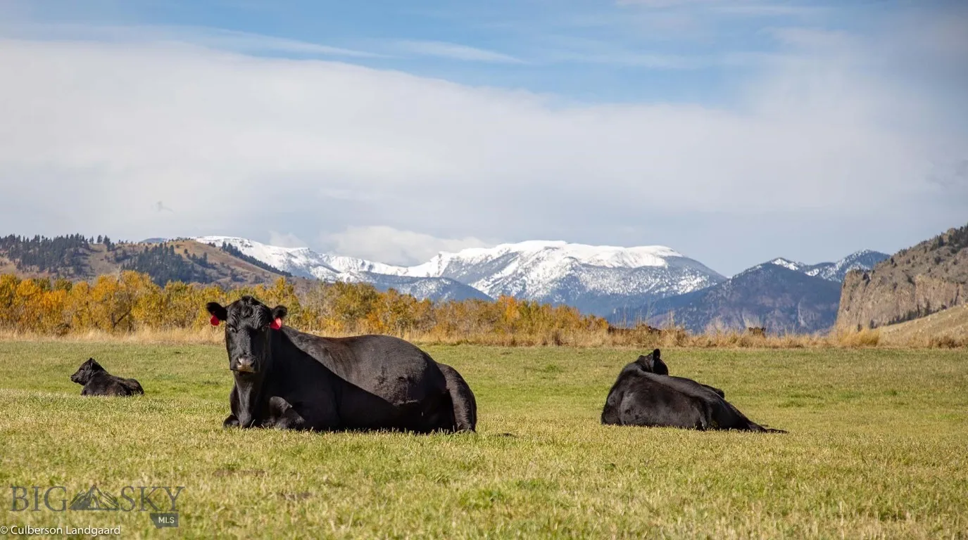 8 West Fork Road, Nye, Montana 59061, Nye, Montana 59061, 3 Bedrooms Bedrooms, ,3 BathroomsBathrooms,Farm,For Sale,8 West Fork Road, Nye, Montana 59061,0,404059