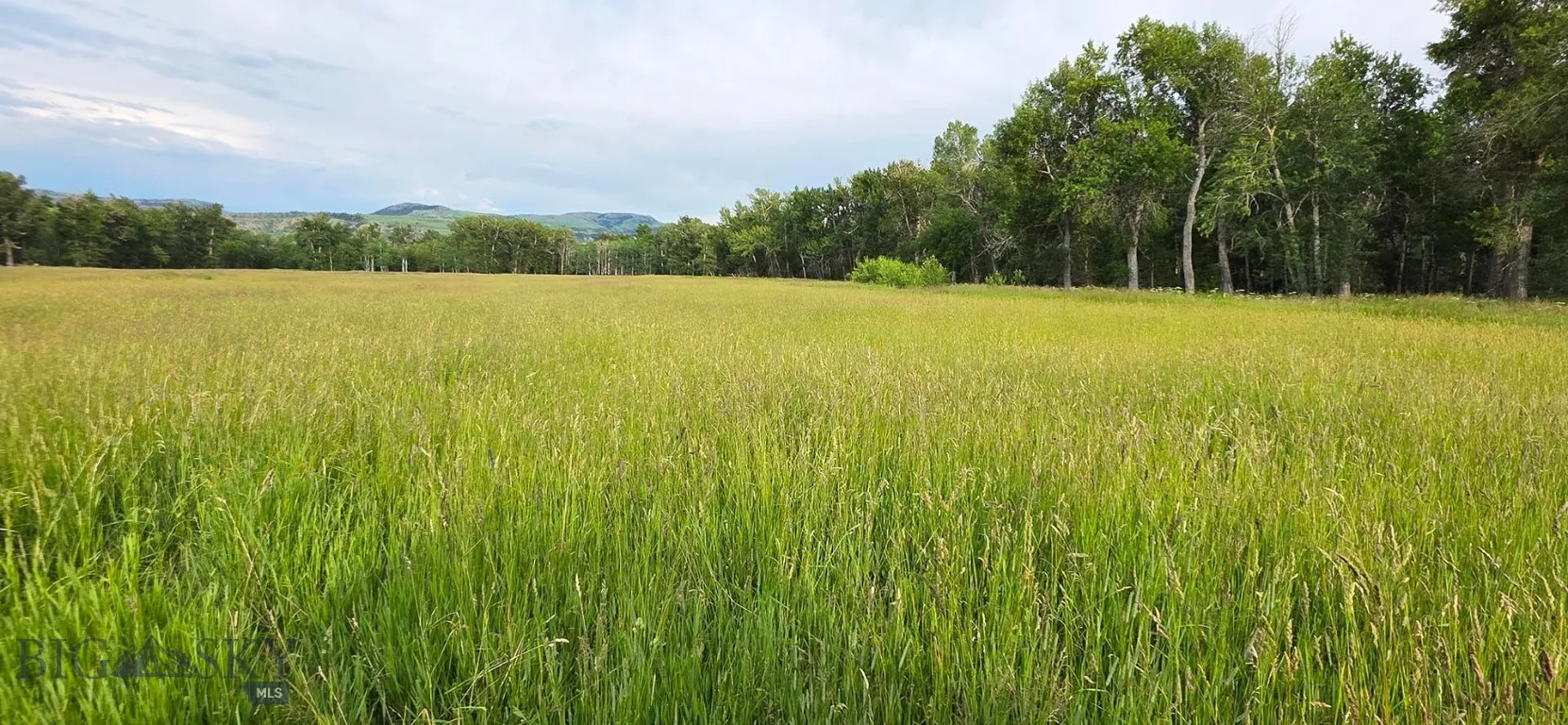 8 West Fork Road, Nye, Montana 59061, Nye, Montana 59061, 3 Bedrooms Bedrooms, ,3 BathroomsBathrooms,Farm,For Sale,8 West Fork Road, Nye, Montana 59061,0,404059
