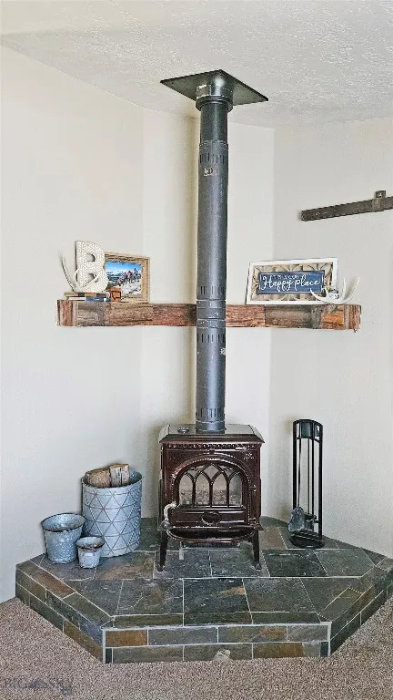 living room stove