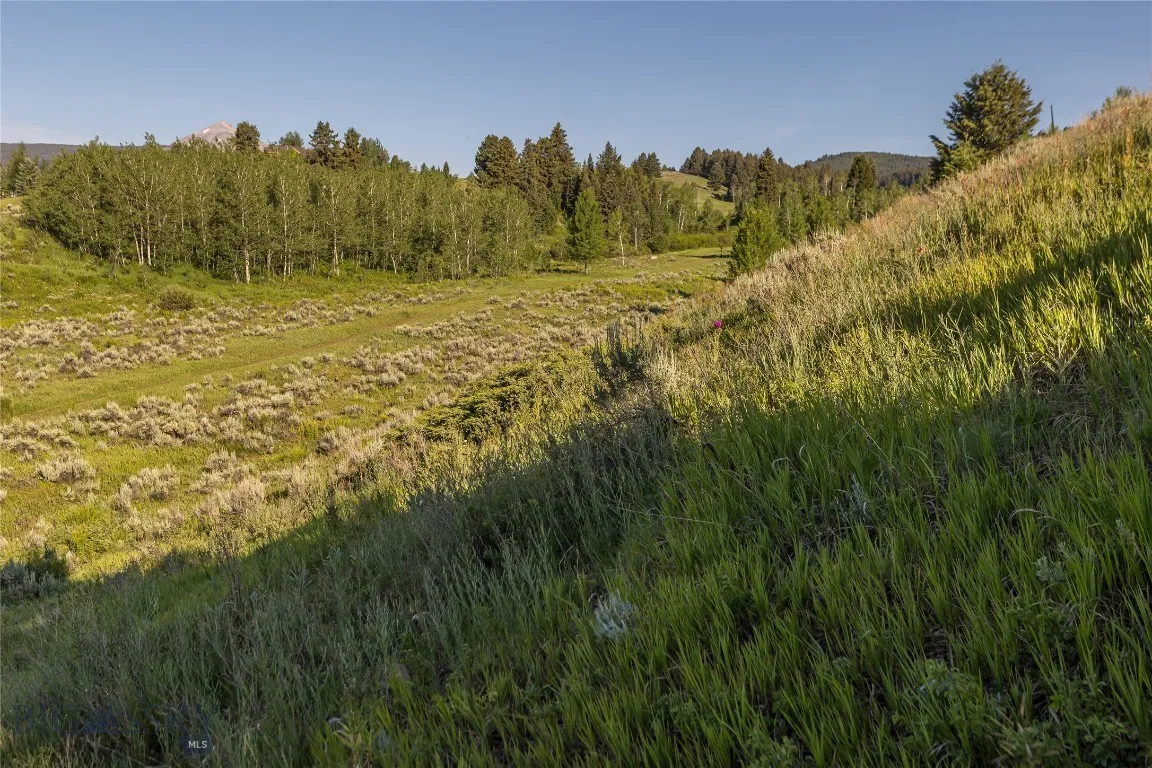 Tbd Little Coyote, Big Sky, Montana 59716, Big Sky, Montana 59716, ,Land,For Sale,Tbd Little Coyote, Big Sky, Montana 59716,0,404086