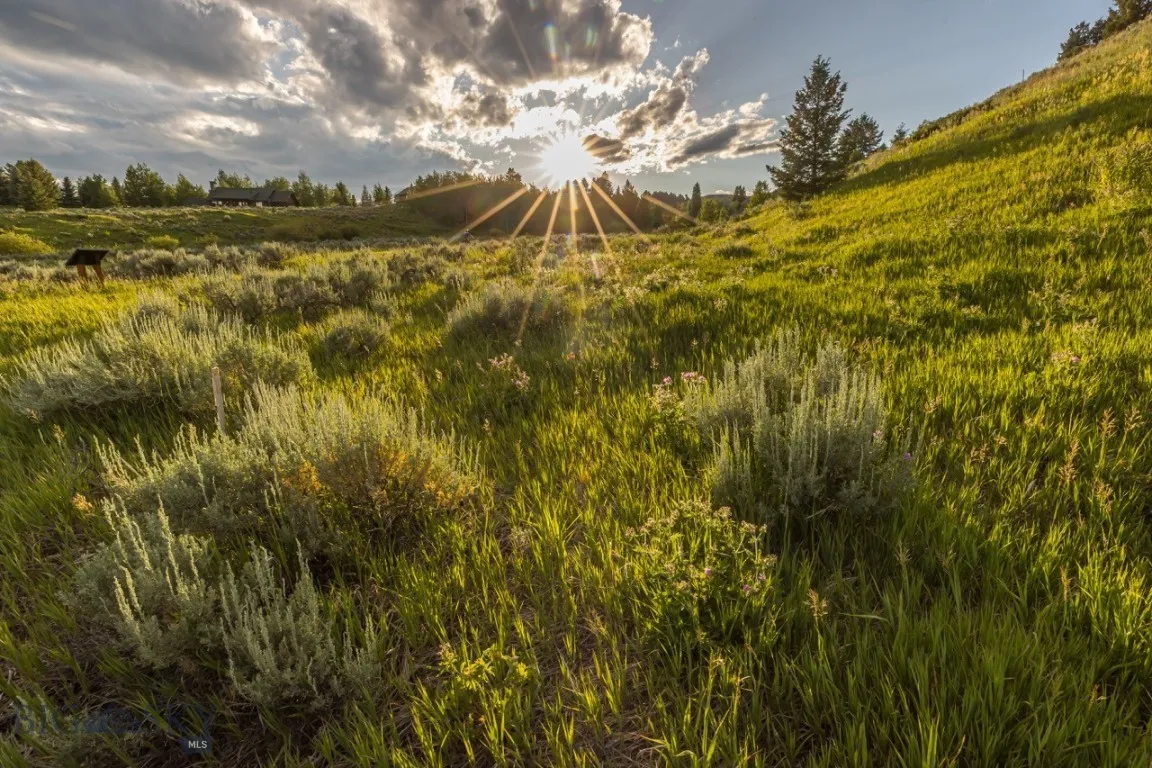 Tbd Little Coyote, Big Sky, Montana 59716, Big Sky, Montana 59716, ,Land,For Sale,Tbd Little Coyote, Big Sky, Montana 59716,0,404086