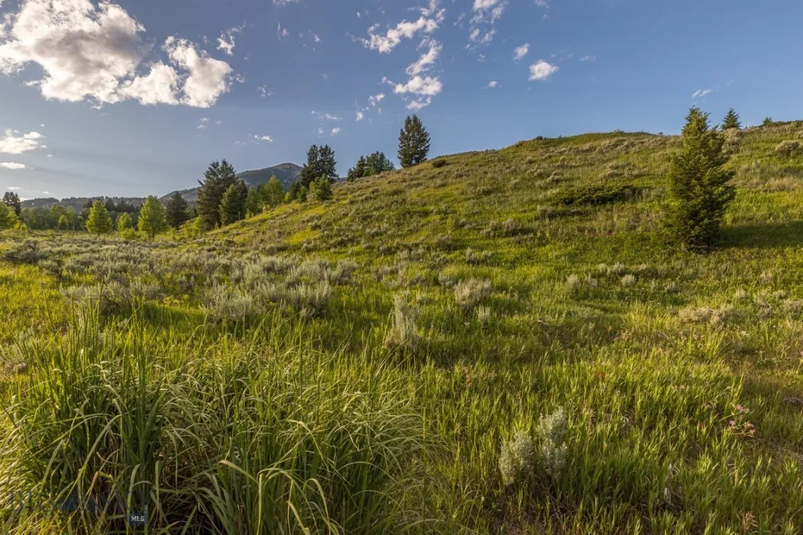 Tbd Little Coyote, Big Sky, Montana 59716, Big Sky, Montana 59716, ,Land,For Sale,Tbd Little Coyote, Big Sky, Montana 59716,0,404086