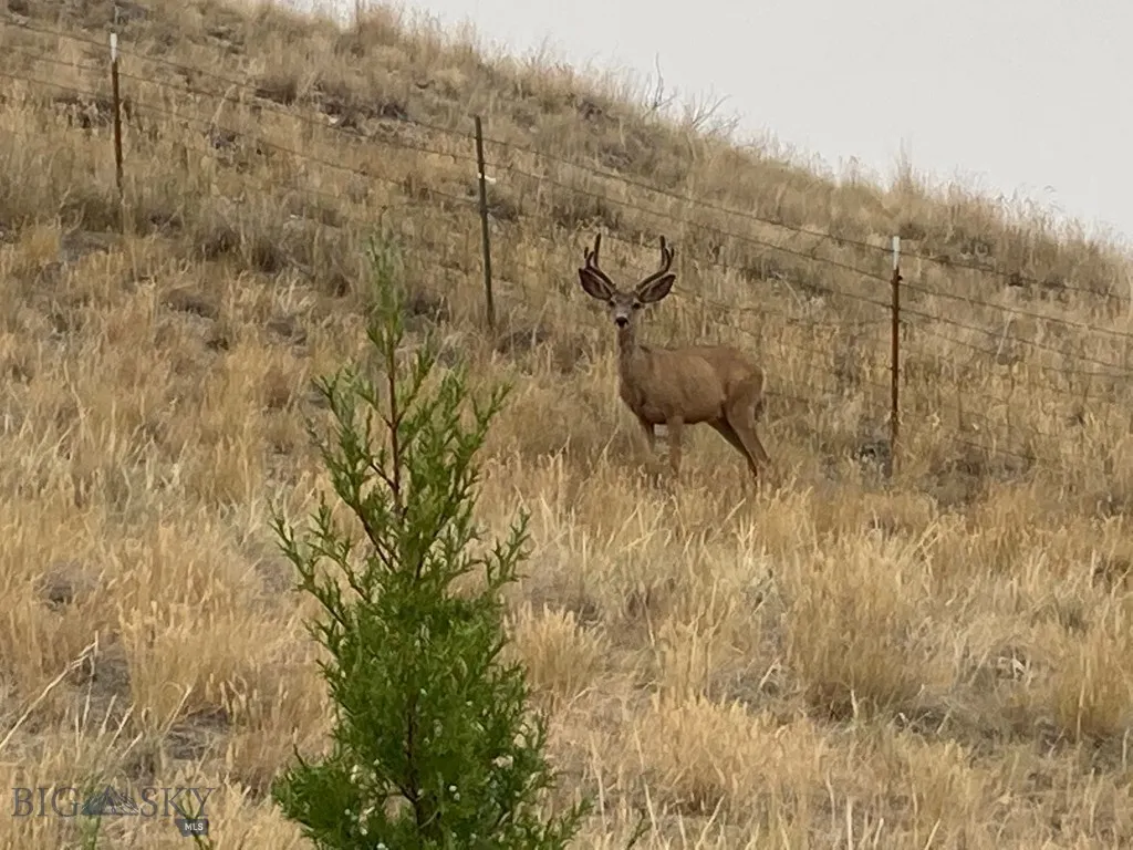 5835 Spaulding Bridge Road, Belgrade, Montana 5971, Belgrade, Montana 59714, 5 Bedrooms Bedrooms, ,3 BathroomsBathrooms,Land,For Sale,5835 Spaulding Bridge Road, Belgrade, Montana 5971,0,404101