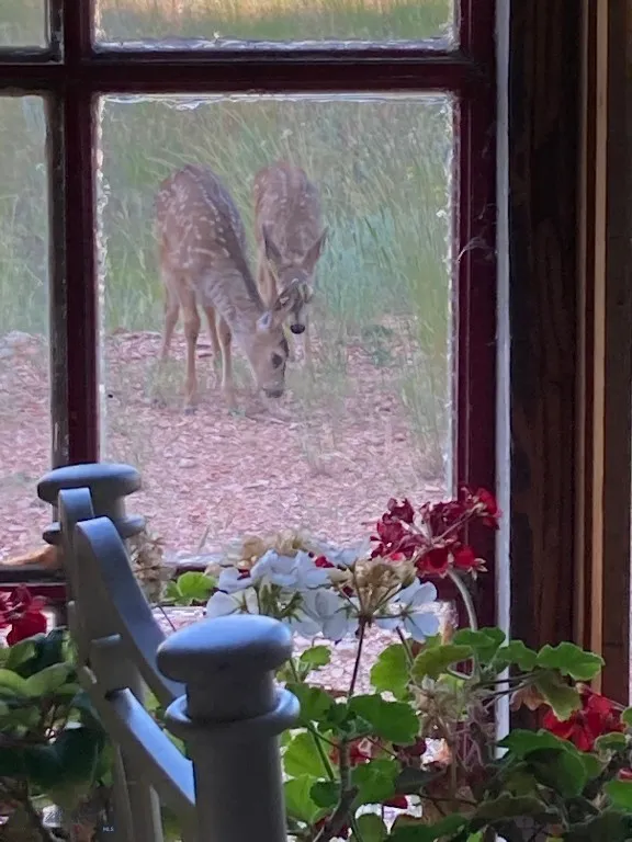 5835 Spaulding Bridge Road, Belgrade, Montana 5971, Belgrade, Montana 59714, 5 Bedrooms Bedrooms, ,3 BathroomsBathrooms,Land,For Sale,5835 Spaulding Bridge Road, Belgrade, Montana 5971,0,404101