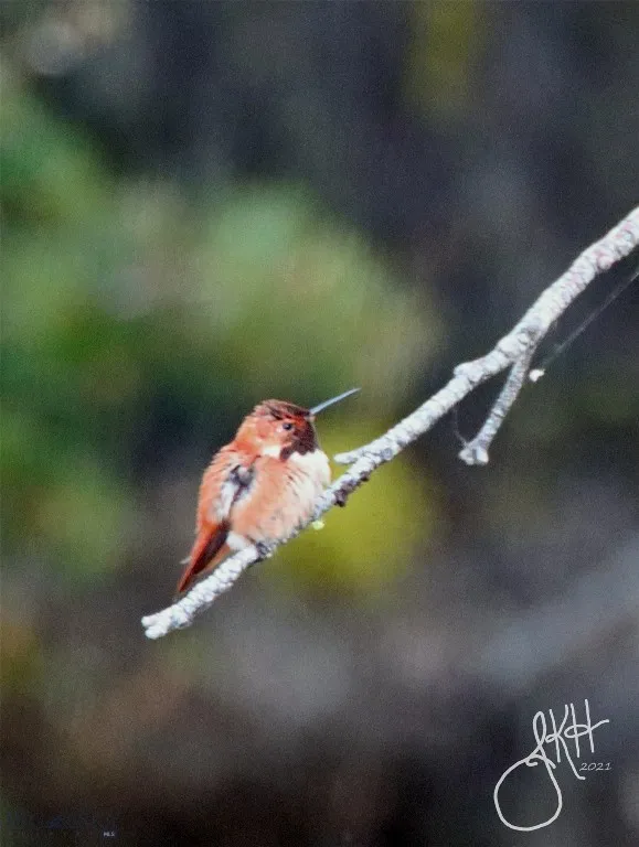 2988 Moose Gulch, Elliston, Montana 59728, Elliston, Montana 59728, 4 Bedrooms Bedrooms, ,3 BathroomsBathrooms,Residential,For Sale,2988 Moose Gulch, Elliston, Montana 59728,0,404169