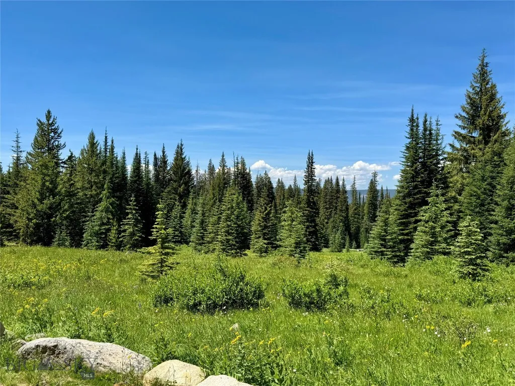 Lot 8 Sunbeam Mining Claim, Polaris, Montana 59746, Polaris, Montana 59746, 1 Bedroom Bedrooms, ,Residential,For Sale,Lot 8 Sunbeam Mining Claim, Polaris, Montana 59746,0,404137