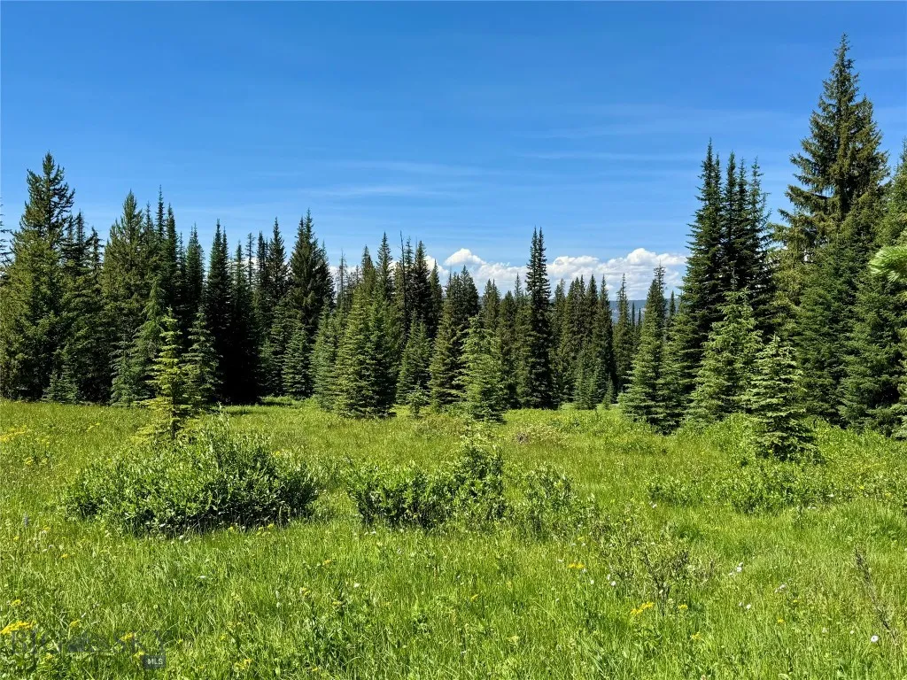 Lot 8 Sunbeam Mining Claim, Polaris, Montana 59746, Polaris, Montana 59746, 1 Bedroom Bedrooms, ,Residential,For Sale,Lot 8 Sunbeam Mining Claim, Polaris, Montana 59746,0,404137