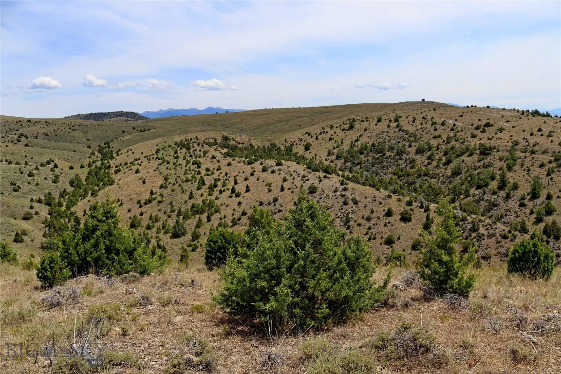Lot 235 E Reservoir Cutoff Road, Manhattan, Montan, Manhattan, Montana 59741, ,Land,For Sale,Lot 235 E Reservoir Cutoff Road, Manhattan, Montan,0,402930