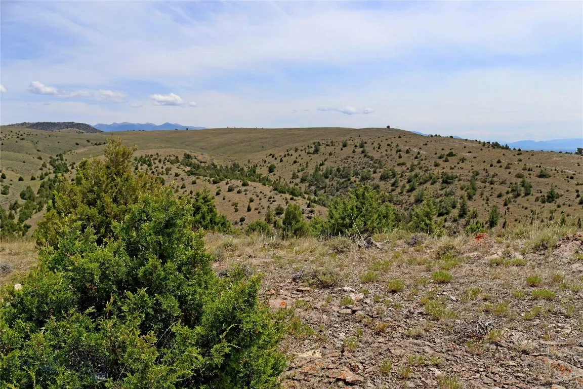 Lot 235 E Reservoir Cutoff Road, Manhattan, Montan, Manhattan, Montana 59741, ,Land,For Sale,Lot 235 E Reservoir Cutoff Road, Manhattan, Montan,0,402930