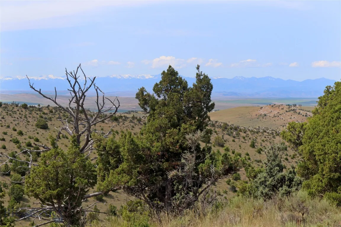 Lot 203 Hikers Trail, Manhattan, Montana 59714, Manhattan, Montana 59714, ,Land,For Sale,Lot 203 Hikers Trail, Manhattan, Montana 59714,0,404250