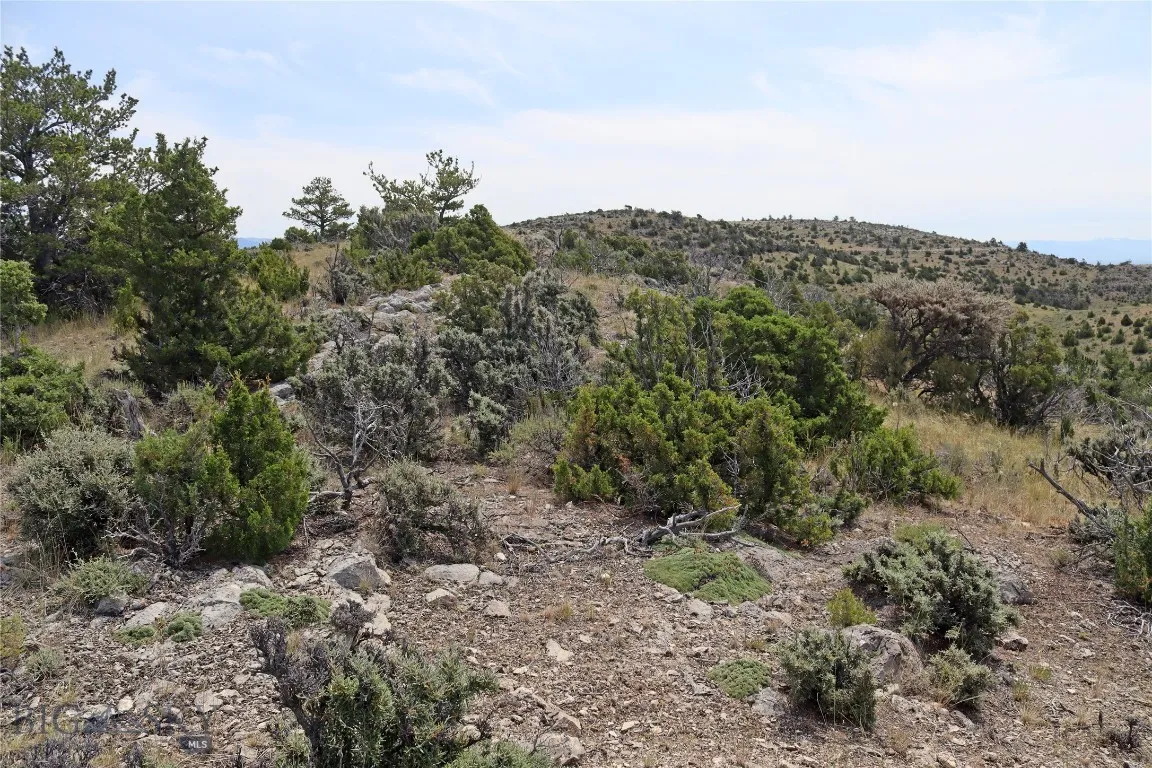 Lot 203 Hikers Trail, Manhattan, Montana 59714, Manhattan, Montana 59714, ,Land,For Sale,Lot 203 Hikers Trail, Manhattan, Montana 59714,0,404250