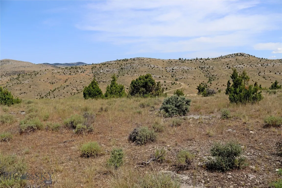 Lot 203 Hikers Trail, Manhattan, Montana 59714, Manhattan, Montana 59714, ,Land,For Sale,Lot 203 Hikers Trail, Manhattan, Montana 59714,0,404250
