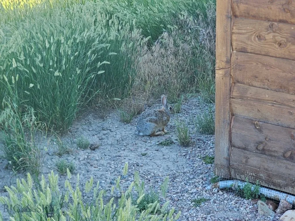 3391 Vernon Road, Highwood, Montana 59450, Highwood, Montana 59450, 1 Bedroom Bedrooms, ,1 BathroomBathrooms,Residential,For Sale,3391 Vernon Road, Highwood, Montana 59450,0,404189