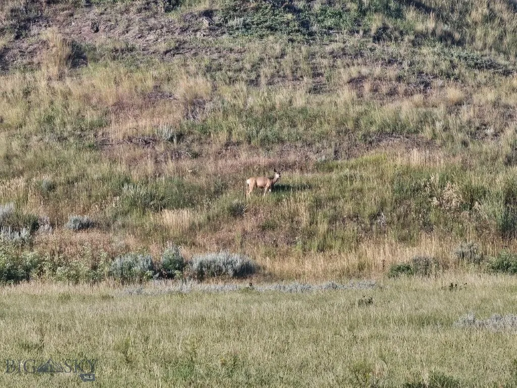 3391 Vernon Road, Highwood, Montana 59450, Highwood, Montana 59450, 1 Bedroom Bedrooms, ,1 BathroomBathrooms,Residential,For Sale,3391 Vernon Road, Highwood, Montana 59450,0,404189