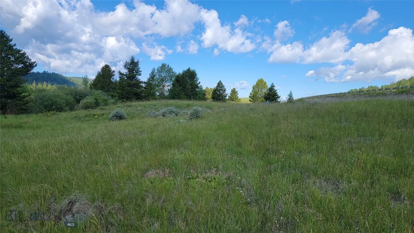 Nhn Mt Hwy 1 W, Anaconda, Montana 59711, Anaconda, Montana 59711, ,Land,For Sale,Nhn Mt Hwy 1 W, Anaconda, Montana 59711,0,404289