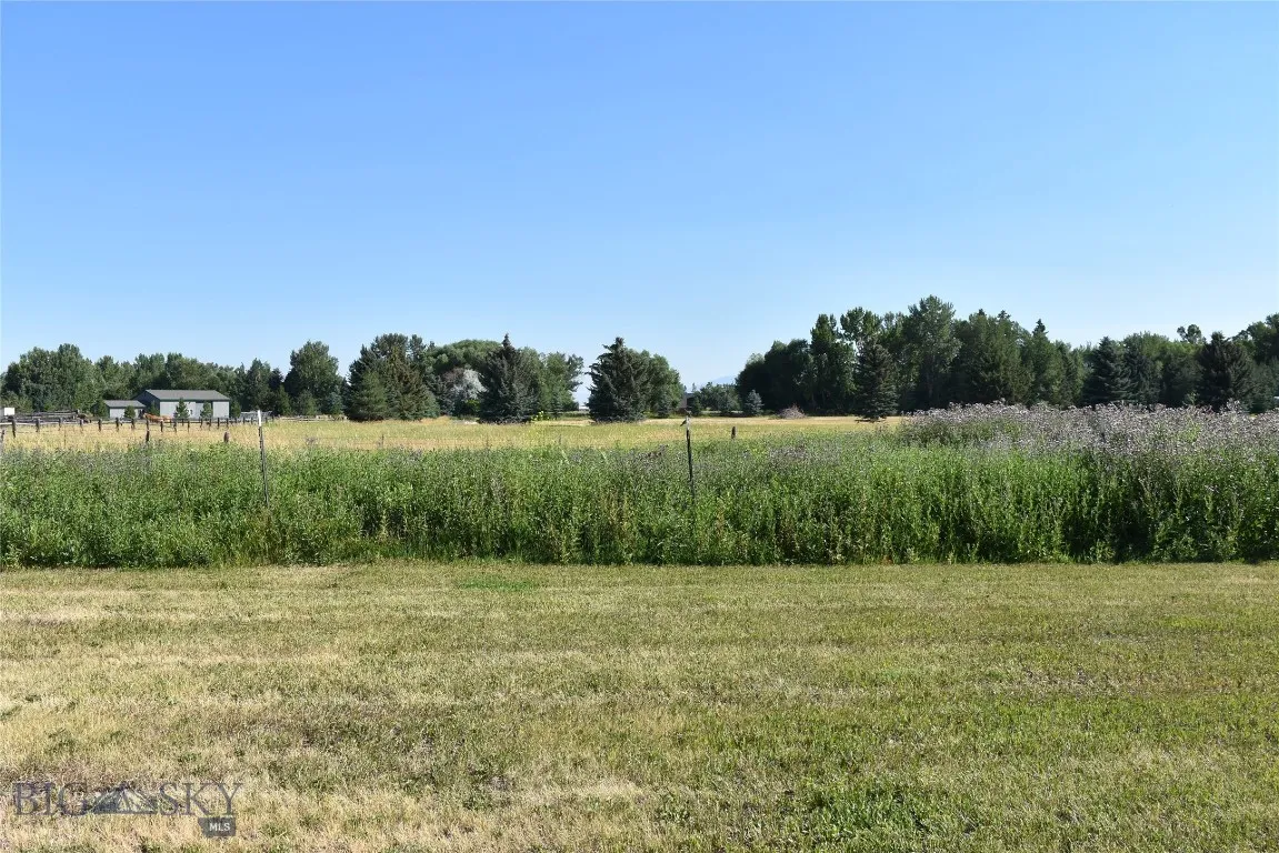 Septic Field