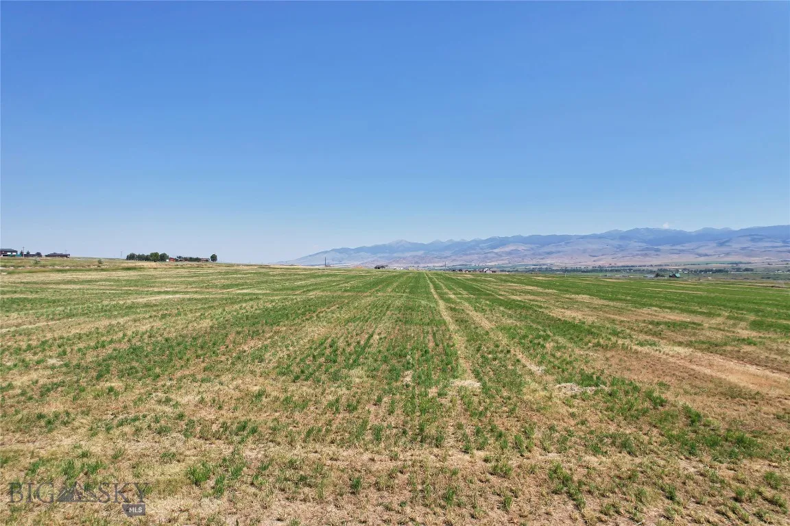 Lot 1a Spring Canyon Rd, Alder, Montana 59710, Alder, Montana 59710, ,Land,For Sale,Lot 1a Spring Canyon Rd, Alder, Montana 59710,0,404298