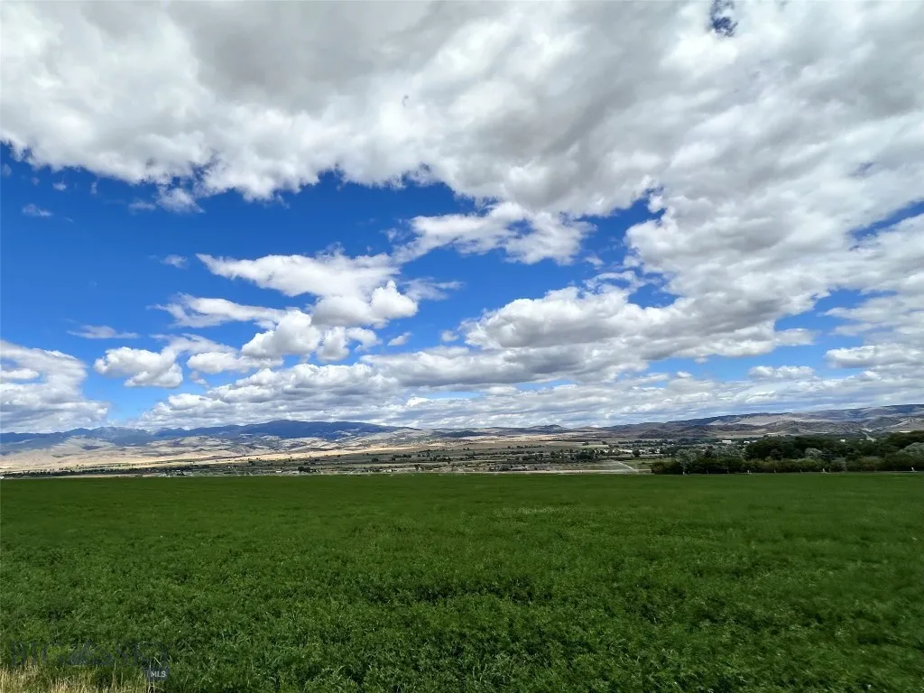 Lot 1a Spring Canyon Rd, Alder, Montana 59710, Alder, Montana 59710, ,Land,For Sale,Lot 1a Spring Canyon Rd, Alder, Montana 59710,0,404298