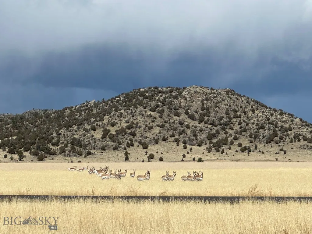 Lot 5 Doris Drive, Ennis, Montana 59729, Ennis, Montana 59729, ,Land,For Sale,Lot 5 Doris Drive, Ennis, Montana 59729,0,404312
