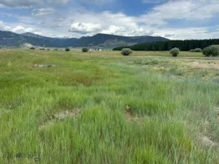 Tbd Moose (lot 57), West Yellowstone, Montana 5975, West Yellowstone, Montana 59758, ,Land,For Sale,Tbd Moose (lot 57), West Yellowstone, Montana 5975,0,404407