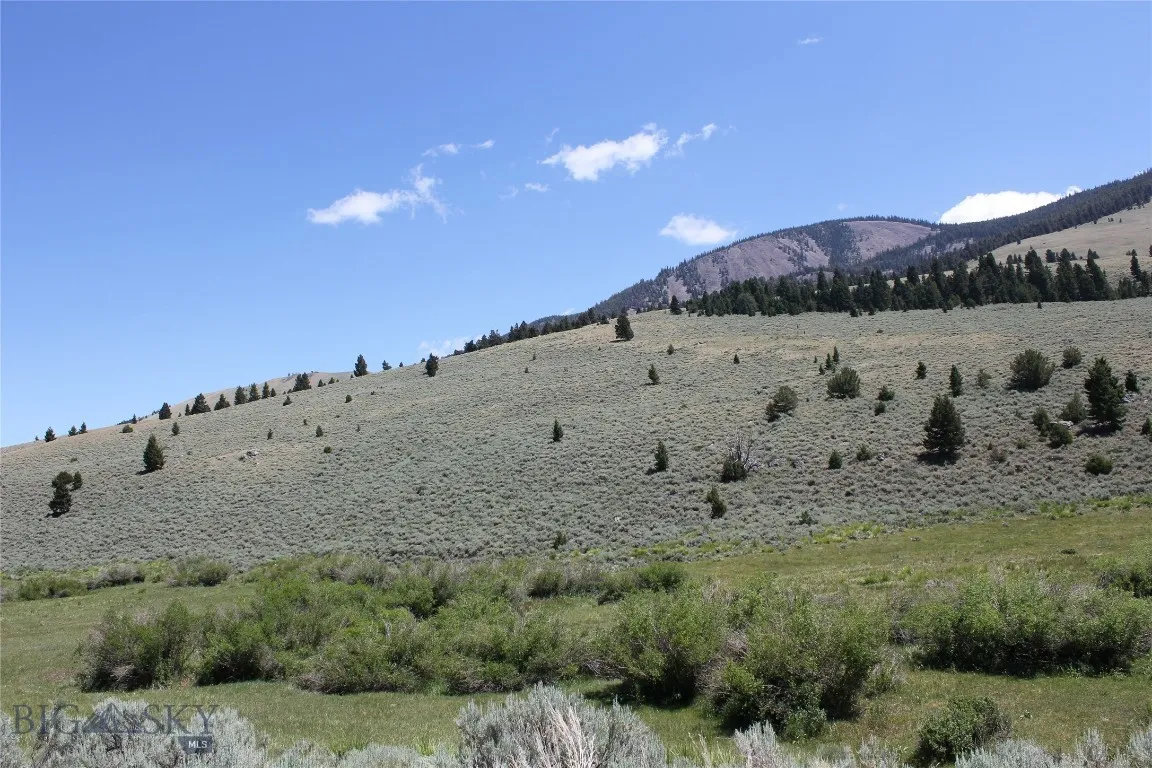 2647 Middle Fork Little Sheep Creek, Lima, Montana, Lima, Montana 59739, ,Land,For Sale,2647 Middle Fork Little Sheep Creek, Lima, Montana,0,404468