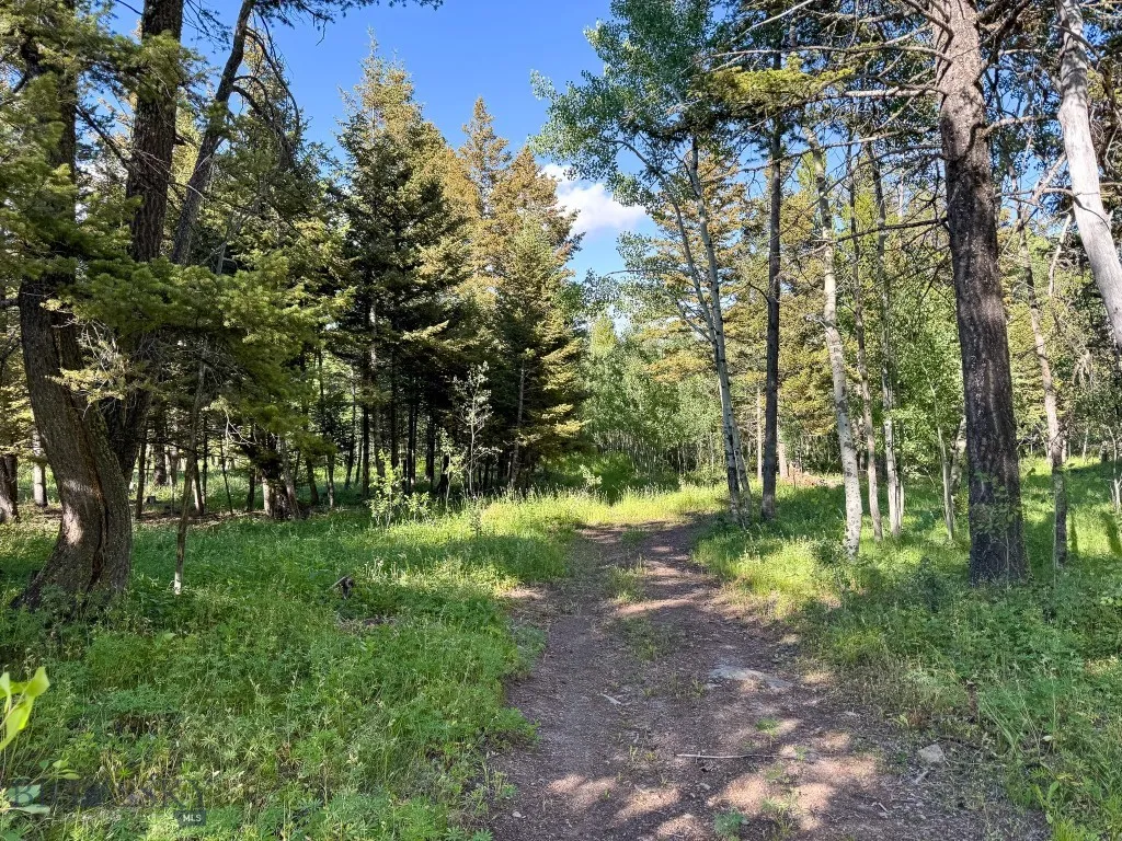 4 Pine Hill Drive, White Sulphur Springs, Montana, White Sulphur Springs, Montana 59645, 4 Bedrooms Bedrooms, ,1 BathroomBathrooms,Residential,For Sale,4 Pine Hill Drive, White Sulphur Springs, Montana ,0,404479