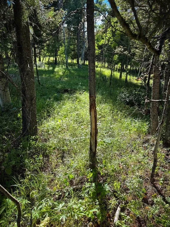4 Pine Hill Drive, White Sulphur Springs, Montana, White Sulphur Springs, Montana 59645, 4 Bedrooms Bedrooms, ,1 BathroomBathrooms,Residential,For Sale,4 Pine Hill Drive, White Sulphur Springs, Montana ,0,404479