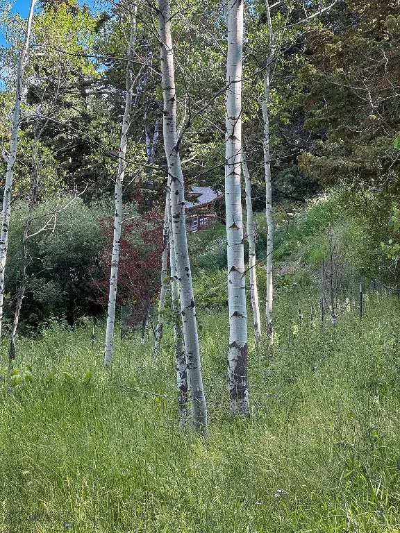 4 Pine Hill Drive, White Sulphur Springs, Montana, White Sulphur Springs, Montana 59645, 4 Bedrooms Bedrooms, ,1 BathroomBathrooms,Residential,For Sale,4 Pine Hill Drive, White Sulphur Springs, Montana ,0,404479