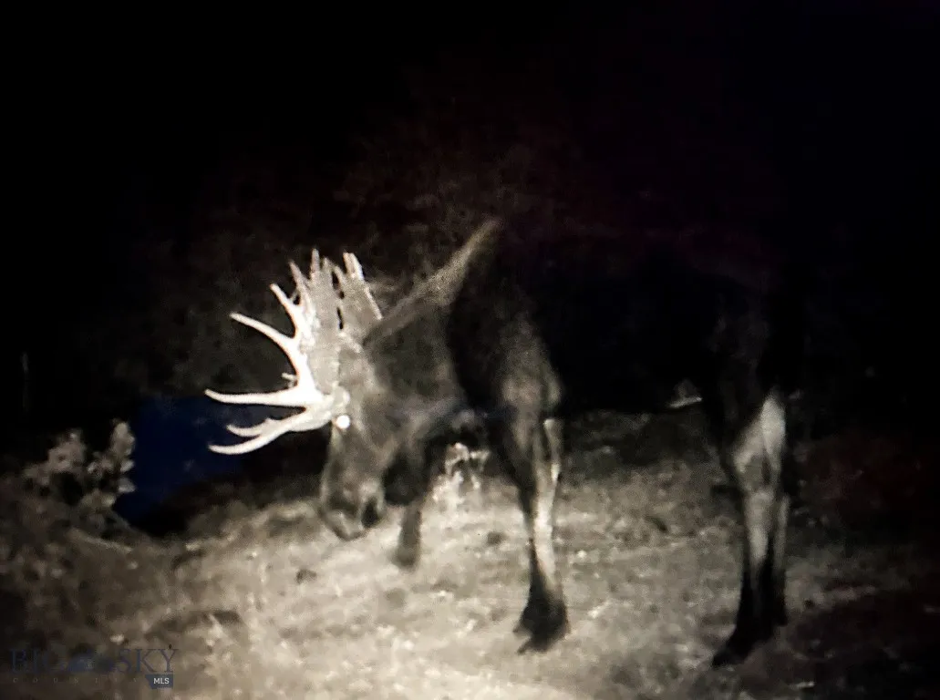 4 Pine Hill Drive, White Sulphur Springs, Montana, White Sulphur Springs, Montana 59645, 4 Bedrooms Bedrooms, ,1 BathroomBathrooms,Residential,For Sale,4 Pine Hill Drive, White Sulphur Springs, Montana ,0,404479