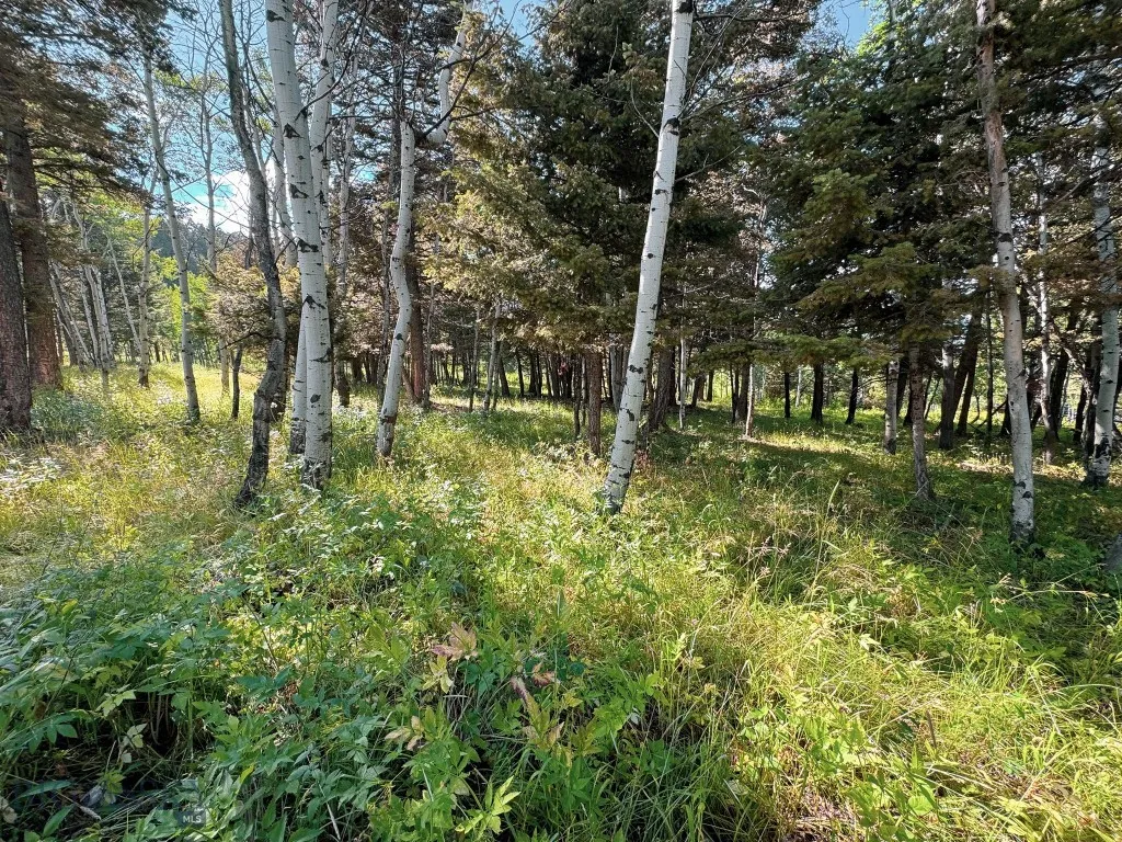 4 Pine Hill Drive, White Sulphur Springs, Montana, White Sulphur Springs, Montana 59645, 4 Bedrooms Bedrooms, ,1 BathroomBathrooms,Residential,For Sale,4 Pine Hill Drive, White Sulphur Springs, Montana ,0,404479