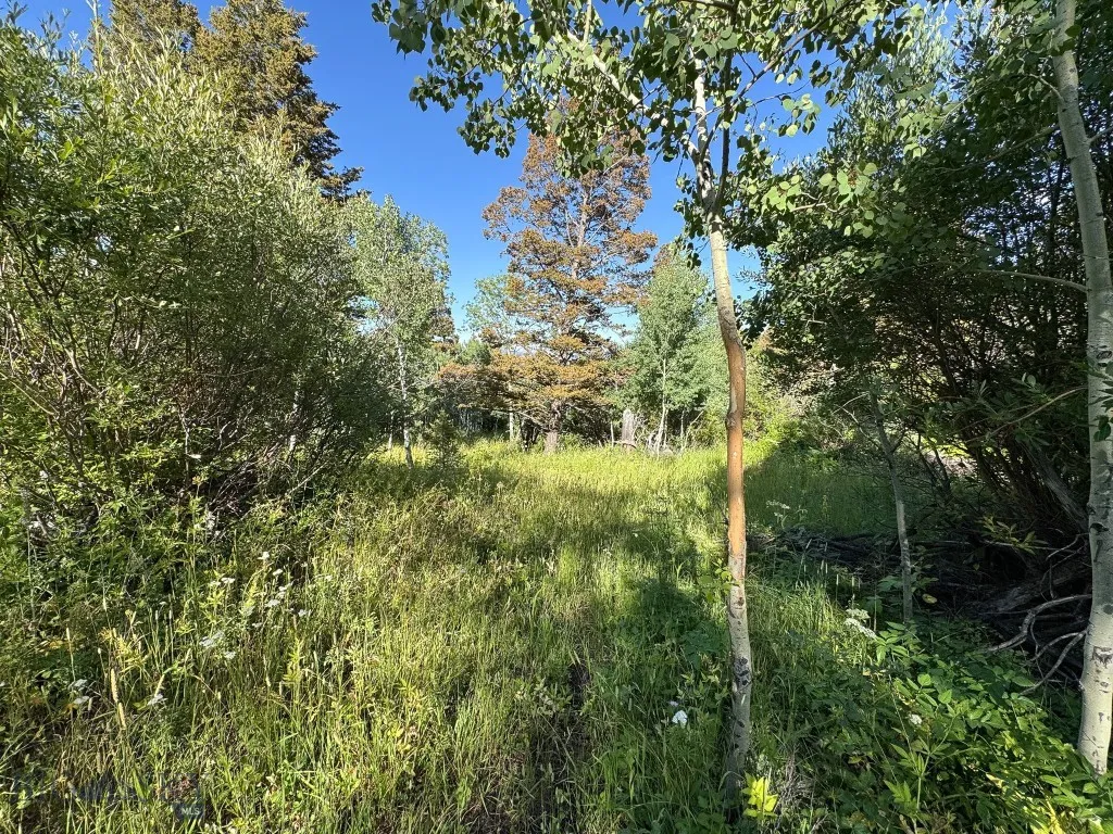 4 Pine Hill Drive, White Sulphur Springs, Montana, White Sulphur Springs, Montana 59645, 4 Bedrooms Bedrooms, ,1 BathroomBathrooms,Residential,For Sale,4 Pine Hill Drive, White Sulphur Springs, Montana ,0,404479