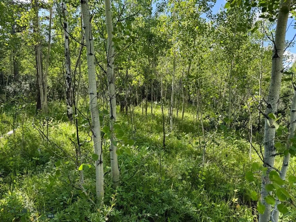 4 Pine Hill Drive, White Sulphur Springs, Montana, White Sulphur Springs, Montana 59645, 4 Bedrooms Bedrooms, ,1 BathroomBathrooms,Residential,For Sale,4 Pine Hill Drive, White Sulphur Springs, Montana ,0,404479