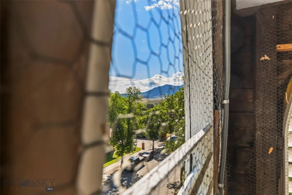 View from Bell Tower