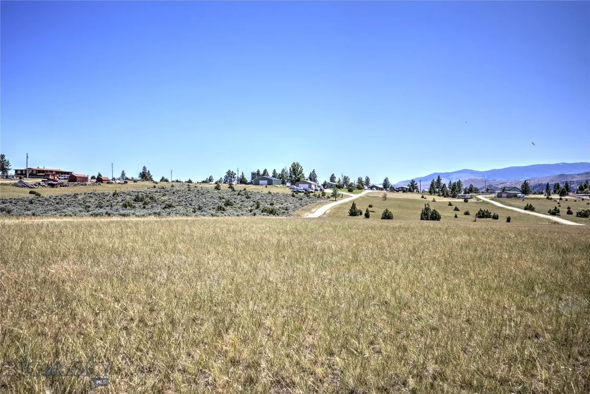 Neighbors on east side of lot
