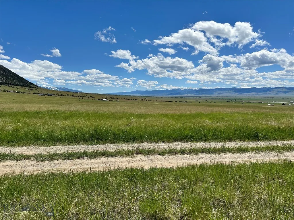 Looking South - Gravelly Mountains
