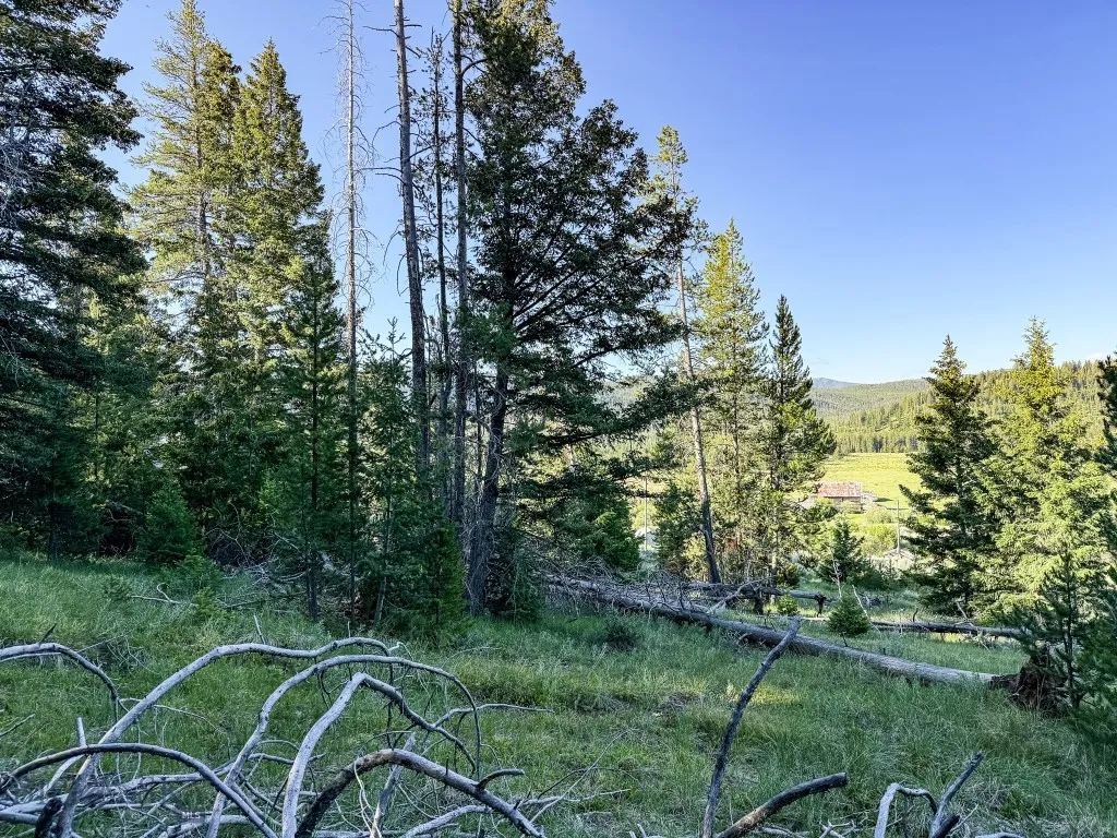 Nhn (1.78+/- Acres) Sunchild Lane, Anaconda, Monta, Anaconda, Montana 59711, ,Land,For Sale,Nhn (1.78+/- Acres) Sunchild Lane, Anaconda, Monta,0,404576
