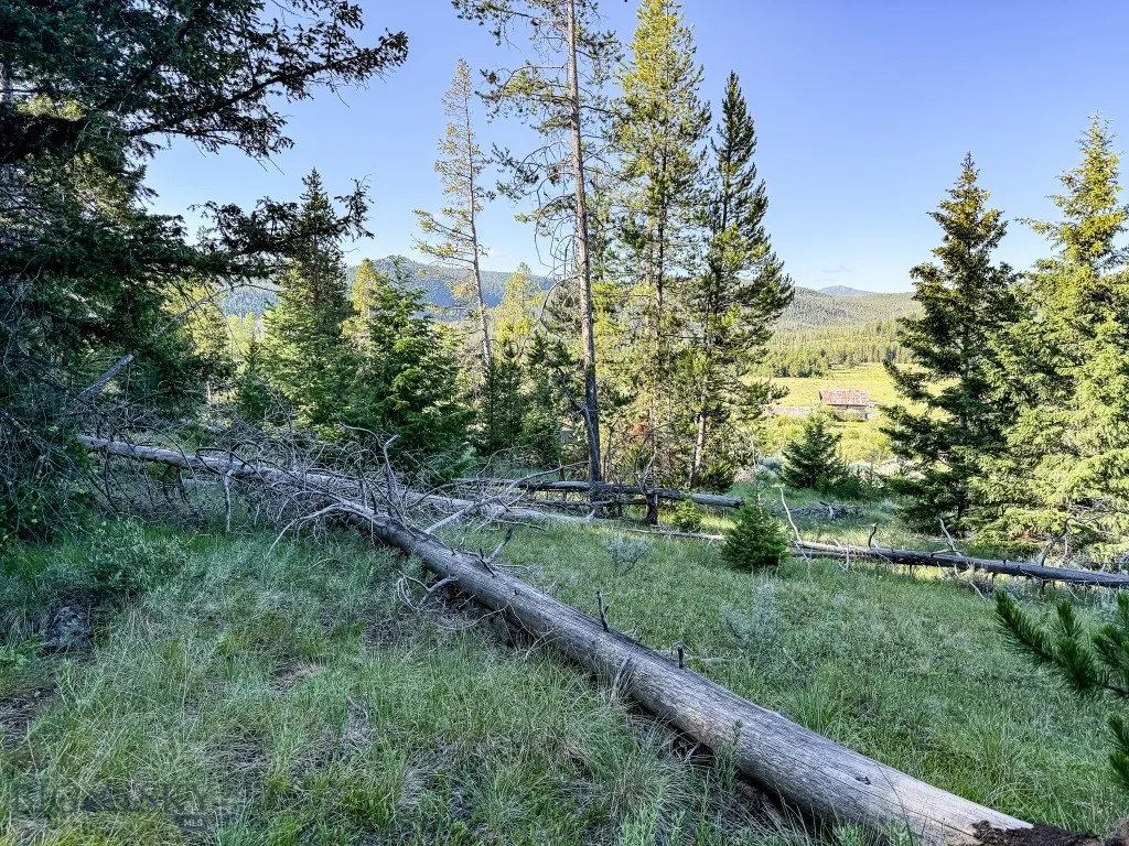 Nhn (1.78+/- Acres) Sunchild Lane, Anaconda, Monta, Anaconda, Montana 59711, ,Land,For Sale,Nhn (1.78+/- Acres) Sunchild Lane, Anaconda, Monta,0,404576