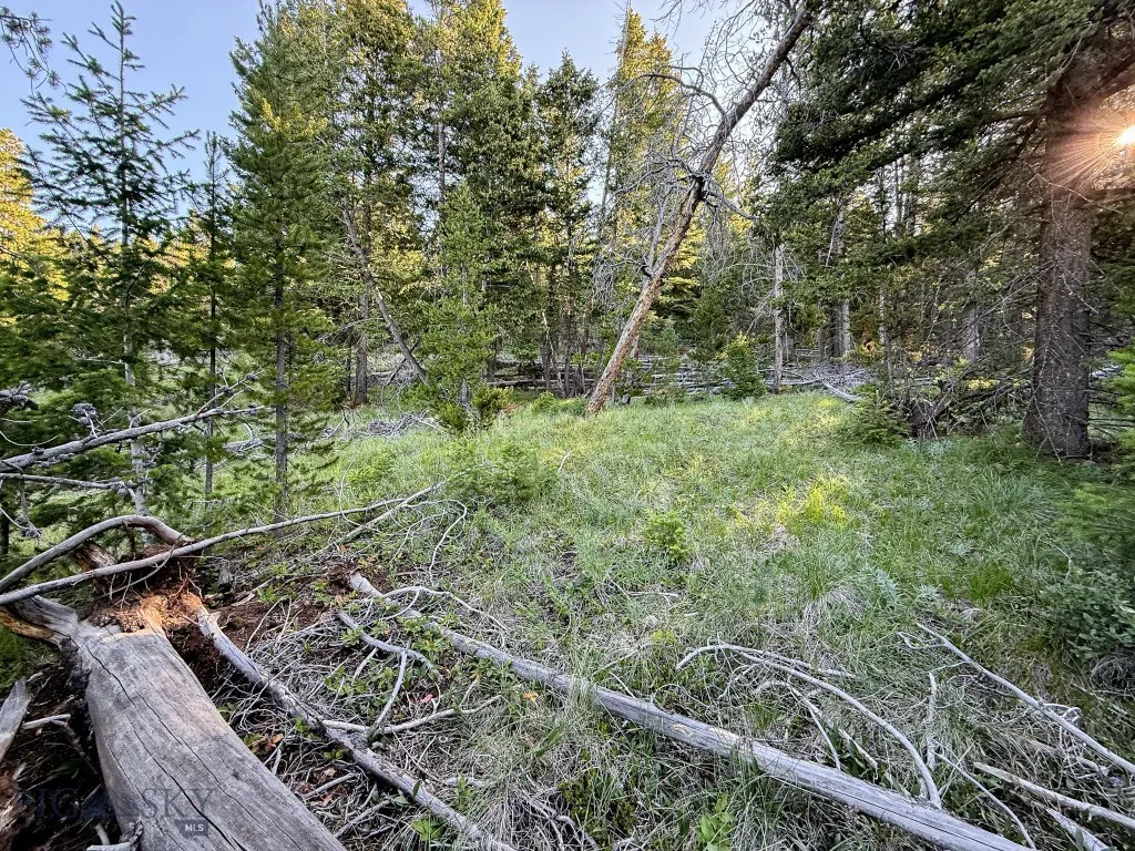 Nhn (1.78+/- Acres) Sunchild Lane, Anaconda, Monta, Anaconda, Montana 59711, ,Land,For Sale,Nhn (1.78+/- Acres) Sunchild Lane, Anaconda, Monta,0,404576
