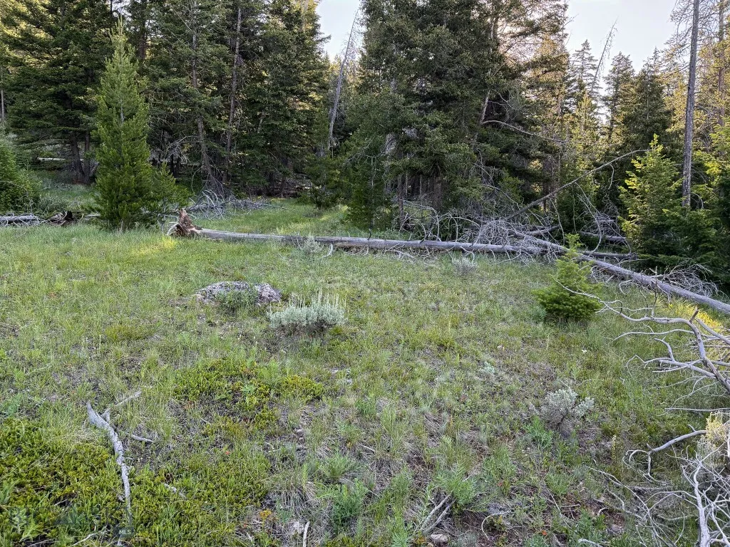 Nhn (1.78+/- Acres) Sunchild Lane, Anaconda, Monta, Anaconda, Montana 59711, ,Land,For Sale,Nhn (1.78+/- Acres) Sunchild Lane, Anaconda, Monta,0,404576
