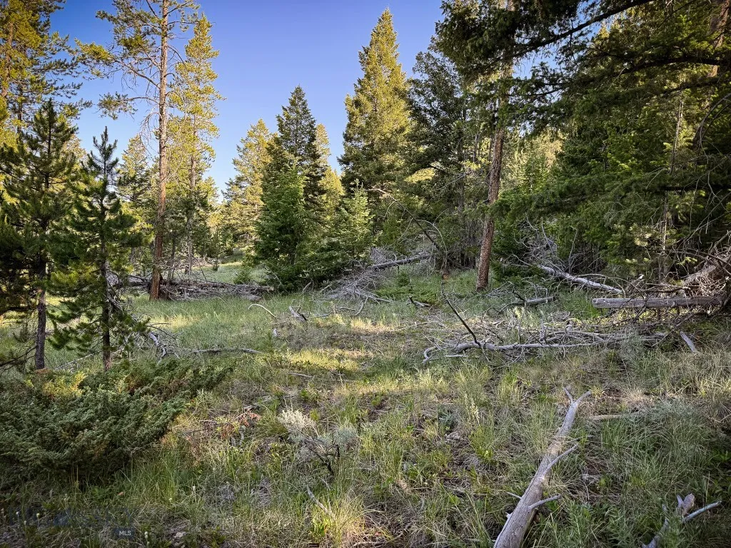 Nhn (1.78+/- Acres) Sunchild Lane, Anaconda, Monta, Anaconda, Montana 59711, ,Land,For Sale,Nhn (1.78+/- Acres) Sunchild Lane, Anaconda, Monta,0,404576