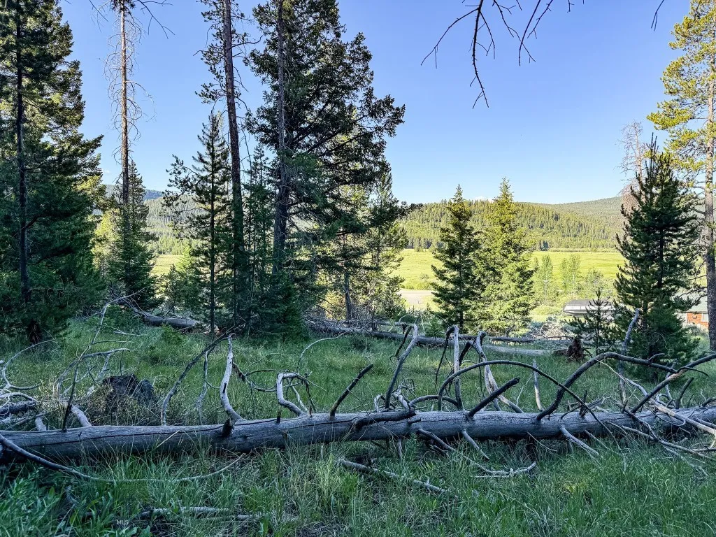 Nhn (1.78+/- Acres) Sunchild Lane, Anaconda, Monta, Anaconda, Montana 59711, ,Land,For Sale,Nhn (1.78+/- Acres) Sunchild Lane, Anaconda, Monta,0,404576