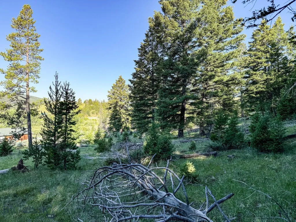 Nhn (1.78+/- Acres) Sunchild Lane, Anaconda, Monta, Anaconda, Montana 59711, ,Land,For Sale,Nhn (1.78+/- Acres) Sunchild Lane, Anaconda, Monta,0,404576