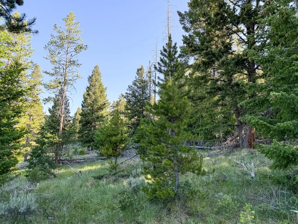 Nhn (1.78+/- Acres) Sunchild Lane, Anaconda, Monta, Anaconda, Montana 59711, ,Land,For Sale,Nhn (1.78+/- Acres) Sunchild Lane, Anaconda, Monta,0,404576