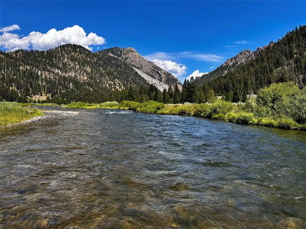 Madison River "Between the Lakes"
