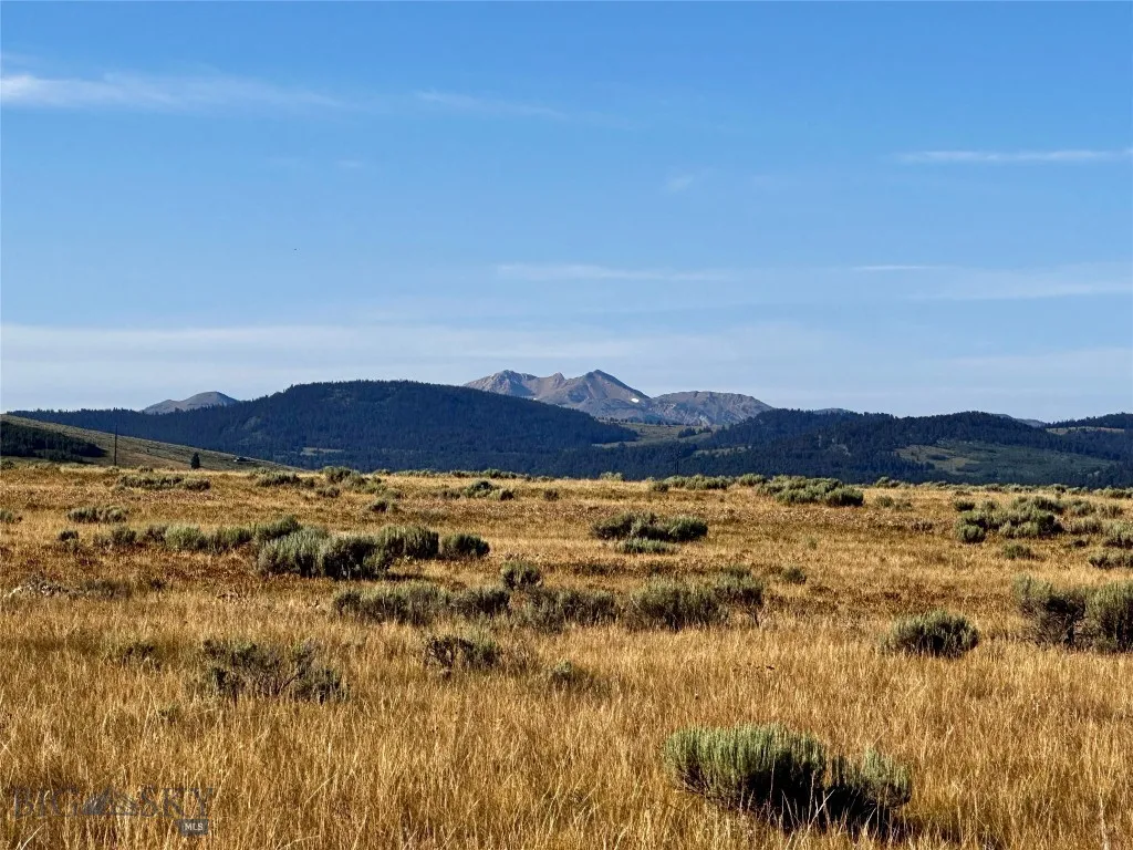 Summer - Distant Peaks are in Idaho beyond Henry's Lake
